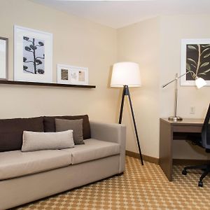 Premium King Suite