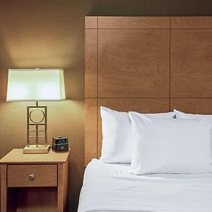 One-Bedroom King Suite