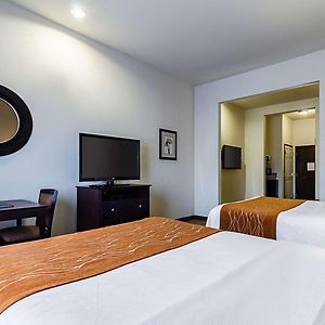 Queen Suite