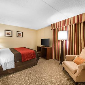 One-Bedroom King Suite