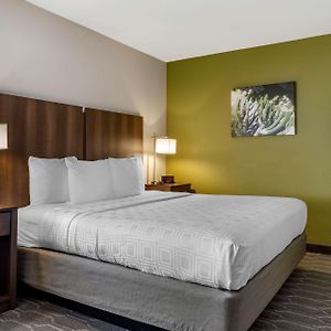 King Room Disability Access