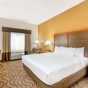 King Room Disability Access
