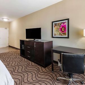 Queen Room Two Queen Beds Disability Access