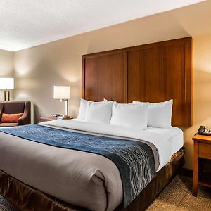 King Room Mobility accessible