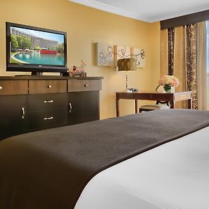 Signature King Room