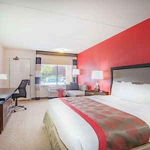 King Room Mobility accessible