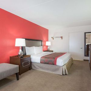 King Room Mobility accessible