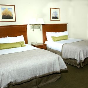 Queen Suite