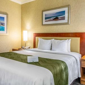 Standard King Suite