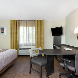 Queen Studio Mobility accessible