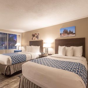 Double Room Mobility accessible