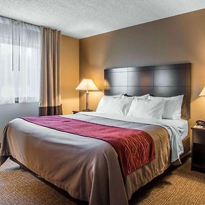 King Room Mobility accessible