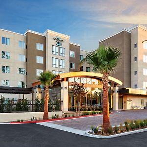 Homewood Suites By Hilton San Diego Mission Valley/Zoo