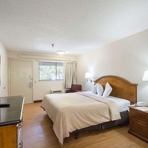 King Room Mobility accessible