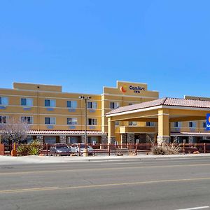 Comfort Inn Albuquerque Airport