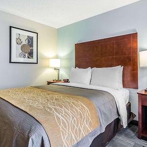Queen Room Disability Access
