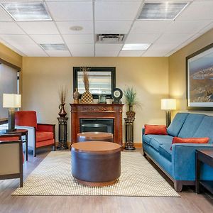 Comfort Inn Downtown