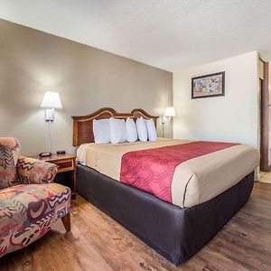 King Room Mobility accessible