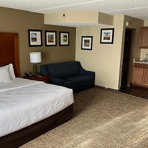 Deluxe Studio Suite
