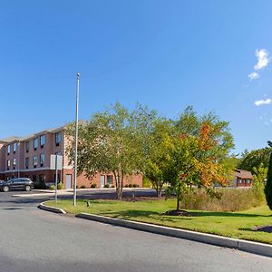 Comfort Inn & Suites Cambridge