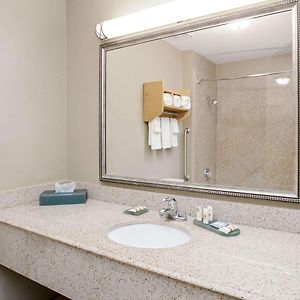 One-Bedroom King Suite