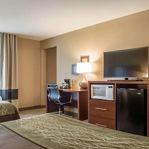 Queen Suite