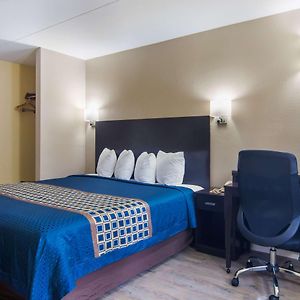 King Room Mobility accessible