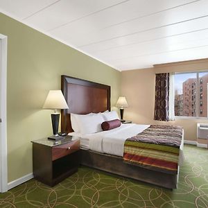 One-Bedroom King Suite