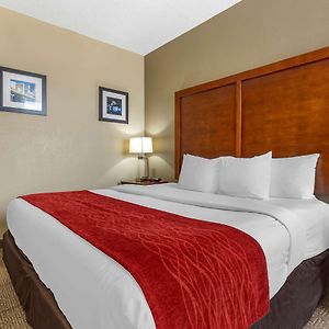 King Room Mobility accessible