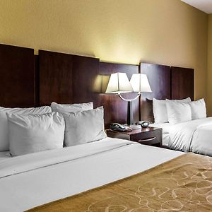 Queen Suite