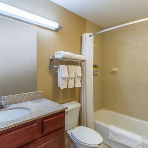 Studio Suite