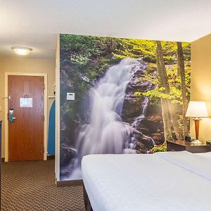 King Room Mobility accessible