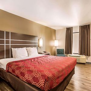 King Room Mobility accessible
