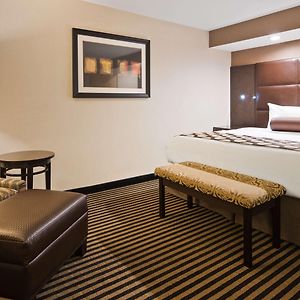 King Room Disability Access