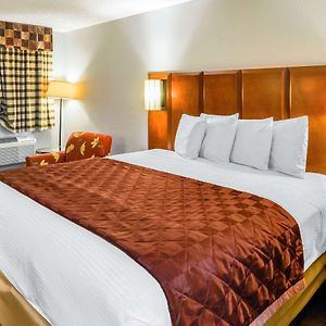 King Room Mobility accessible