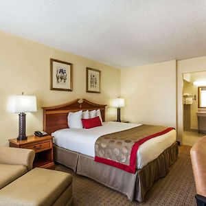 King Room Mobility accessible