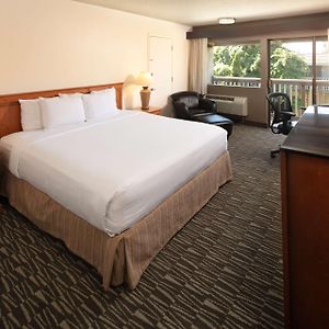 Premium King Room