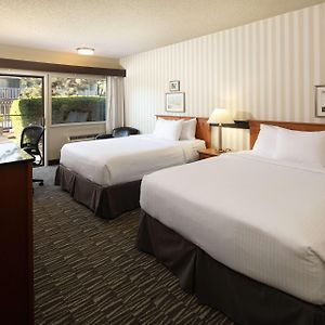 Premium Queen Room