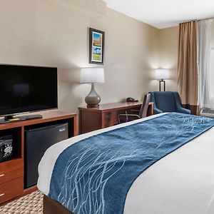 Queen Room Mobility accessible
