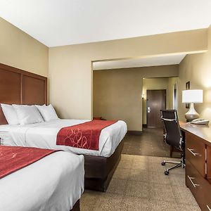 Queen Suite