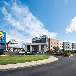 Comfort Inn Rehoboth Beach