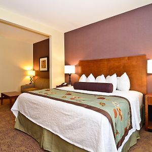 One-Bedroom King Suite