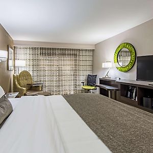 King Room Disability Access