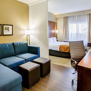Standard King Suite