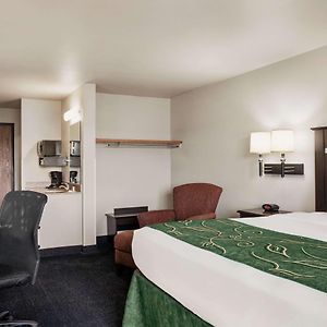 Deluxe  Queen Room Mobility accessible