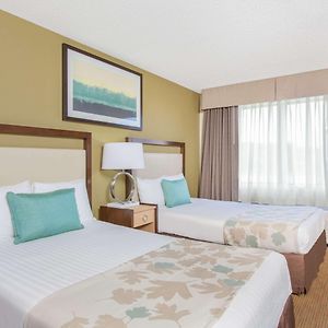 Standard Suite