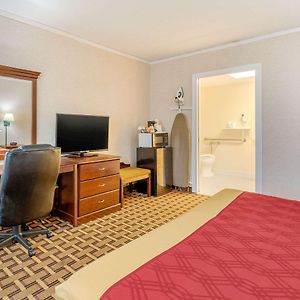 King Room Mobility accessible