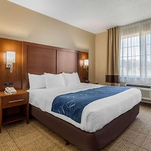 King Suite Disability Access