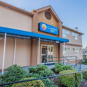 Comfort Inn On The Bay