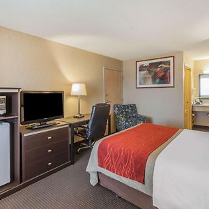 Queen Room Mobility accessible